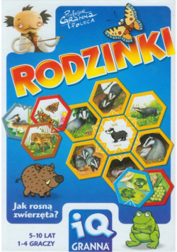 Rodzinki, gra planszowa - edukacujne