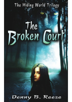 The Broken Court