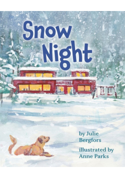 Snow Night