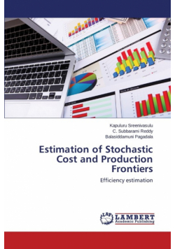 Estimation of Stochastic Cost and Production Frontiers