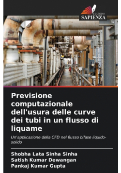 Previsione computazionale dell'usura delle curve dei tubi in un flusso di liquame