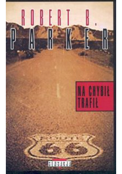 Na chybił trafił