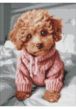 Diamentowa mozaika - Magiczny Maltipoo 30x40cm