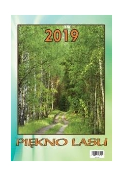 Kalendarz 2019 Wieloplanszowy Piękno lasu BESKIDY