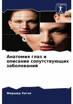 Анатомия глаз и описание сопутствующих заболеваний