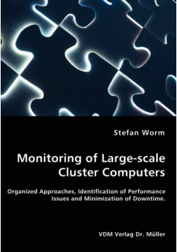 Monitoring of Large-scale Cluster Computers - Organized Approaches, Identification of Performance Issues and Minimization of Downtime