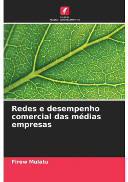 Redes e desempenho comercial das médias empresas
