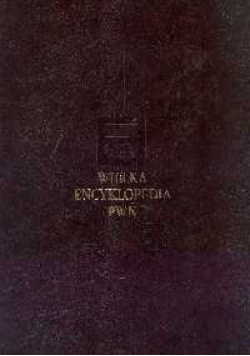 Wielka encyklopedia PWN T.17