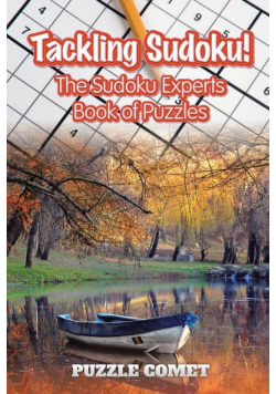 Tackling Sudoku