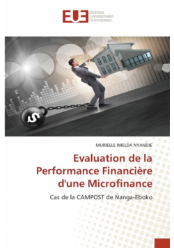 Evaluation de la Performance Financière d'une Microfinance