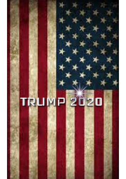 Trump American Flag 2020 Creative Journal