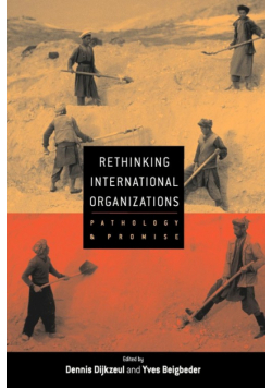 Rethinking International Organizations