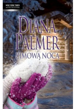 Zimową nocą