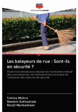 Les balayeurs de rue