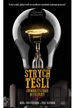 Strych Tesli